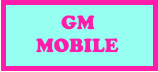 GMMOBILE.IN